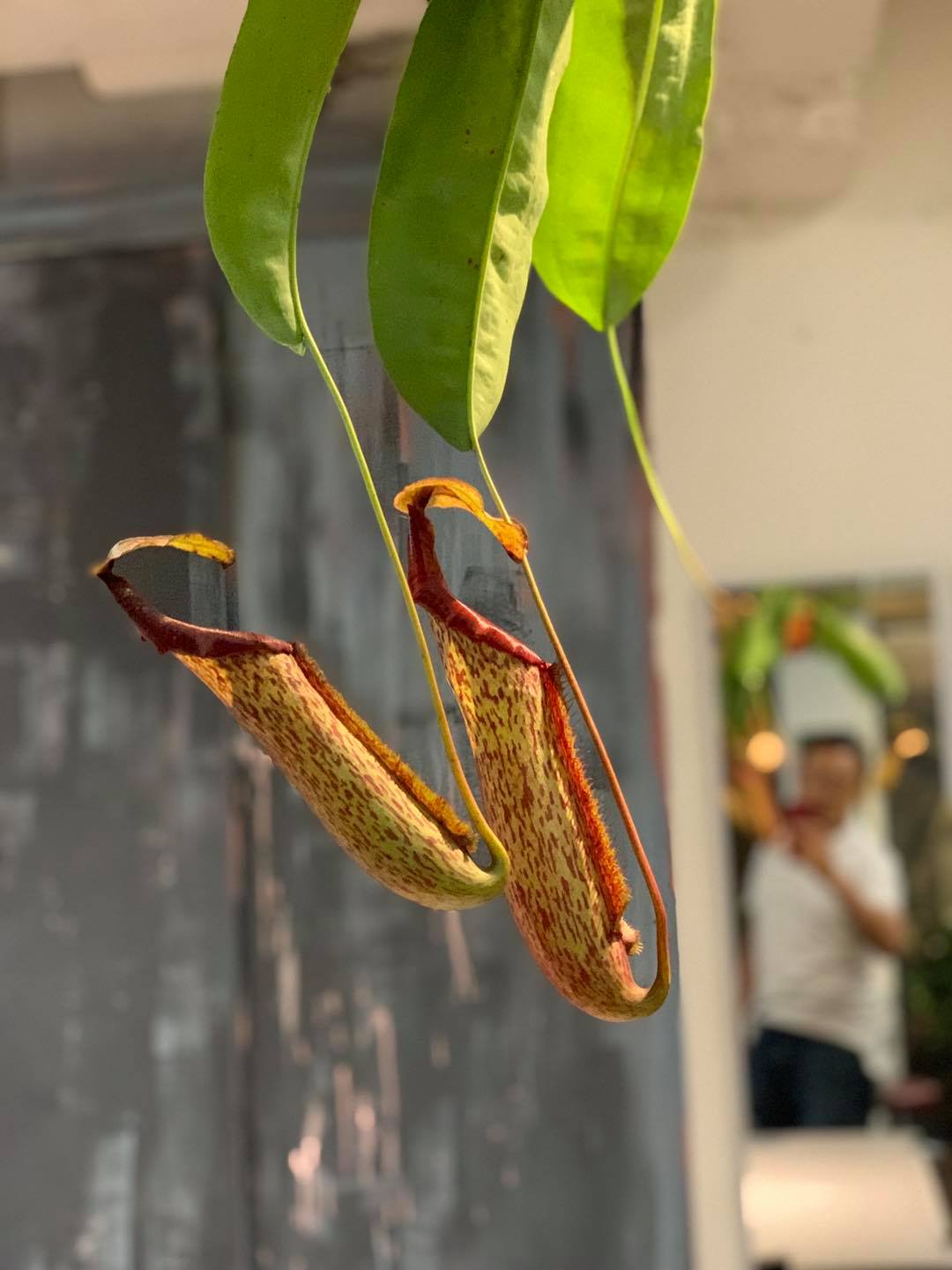 色彩學講師班研討會